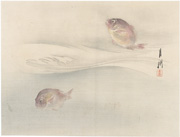 Young Sea Bream from the book Gekkō Gahō